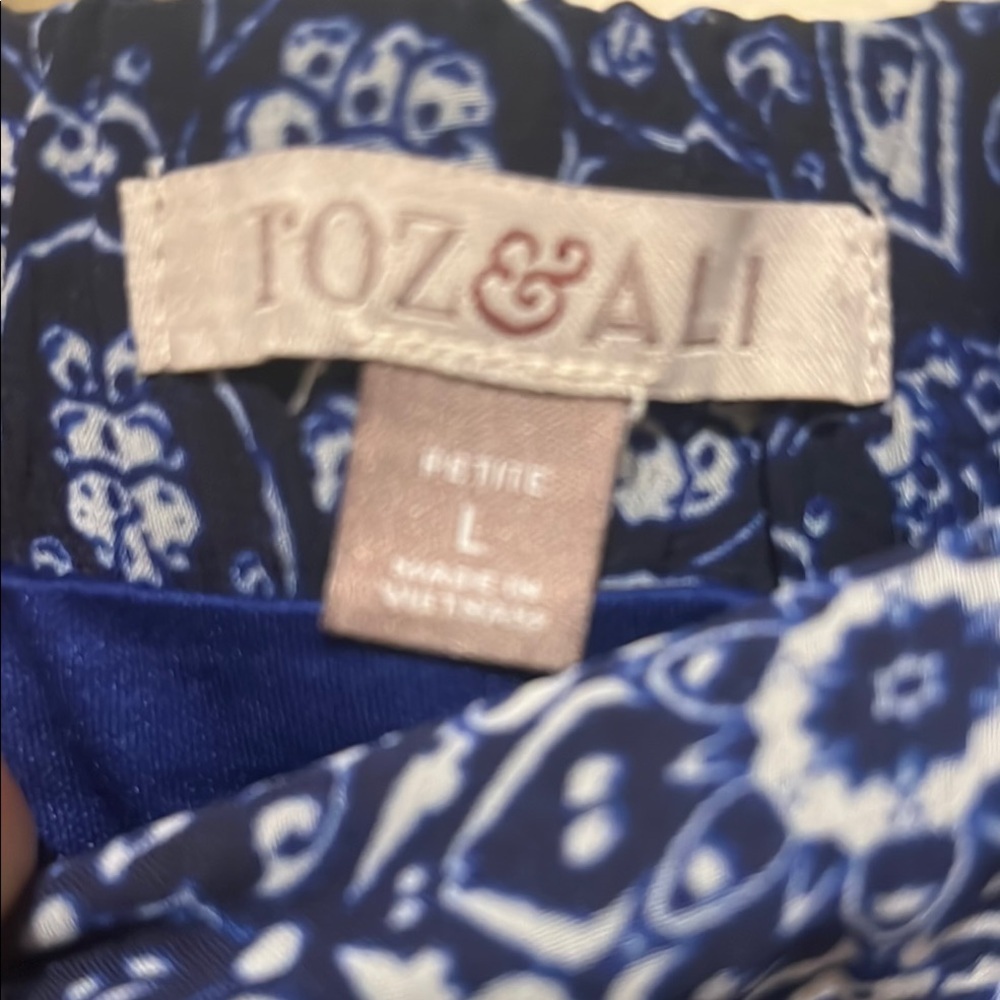 Roz & Ali 💙 Blue Patterned Women's Skirt Size Petite Large - Picture 3 of 11